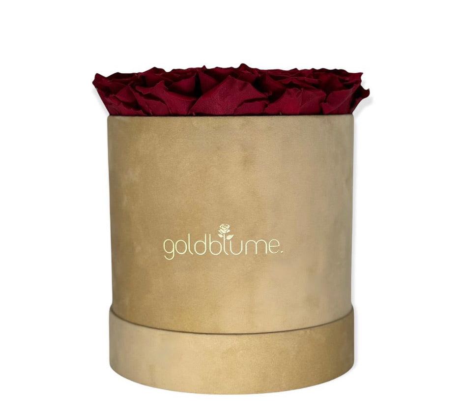 Velvet Beige Collection - Goldblume