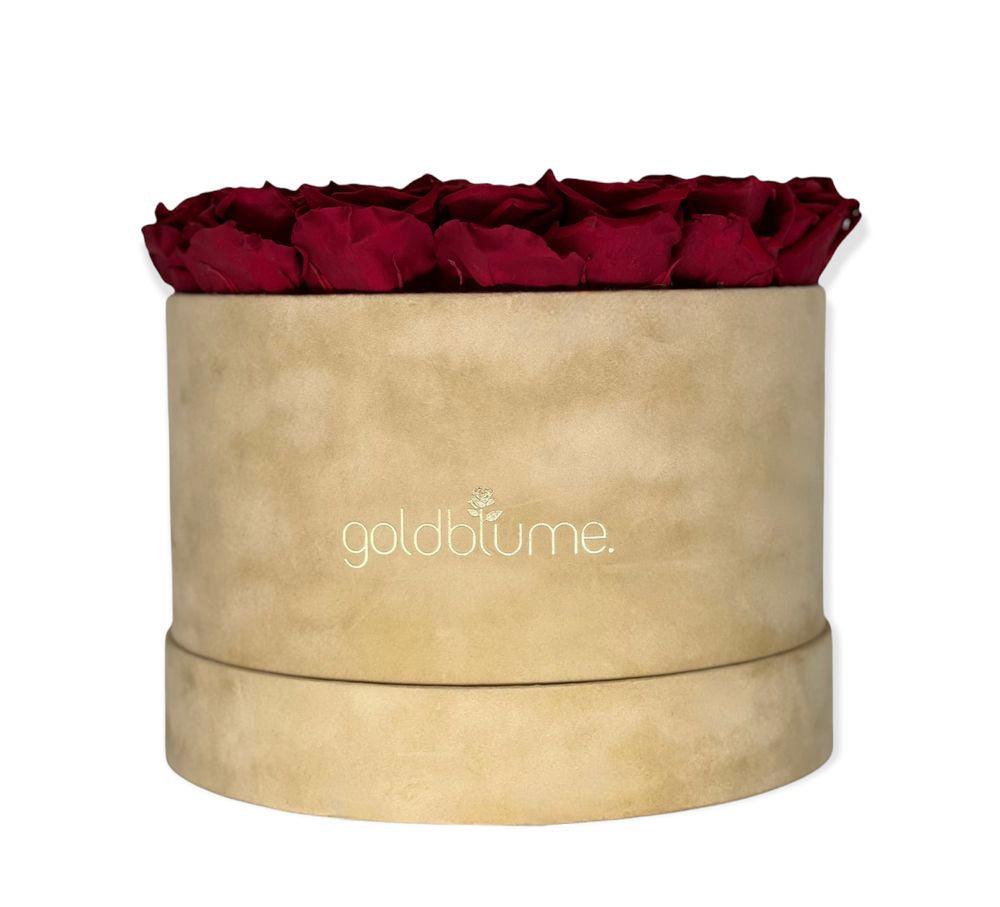 Velvet Beige Collection - Goldblume