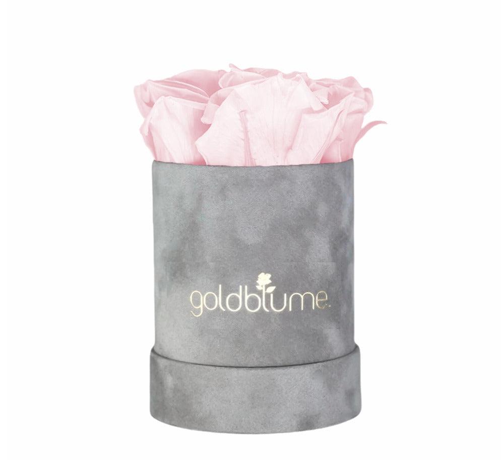 Velvet Grey Collection - Goldblume