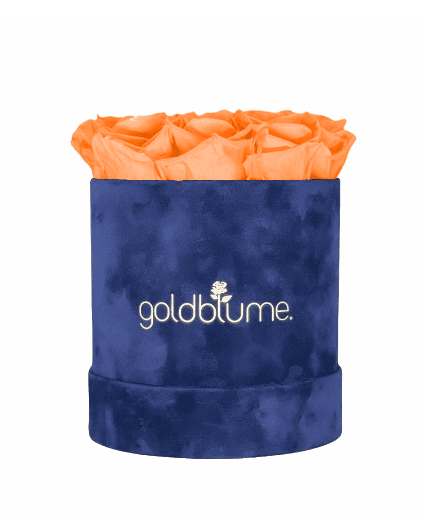 Velvet Royal Collection - Goldblume