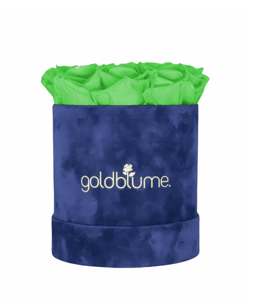 Velvet Royal Collection - Goldblume