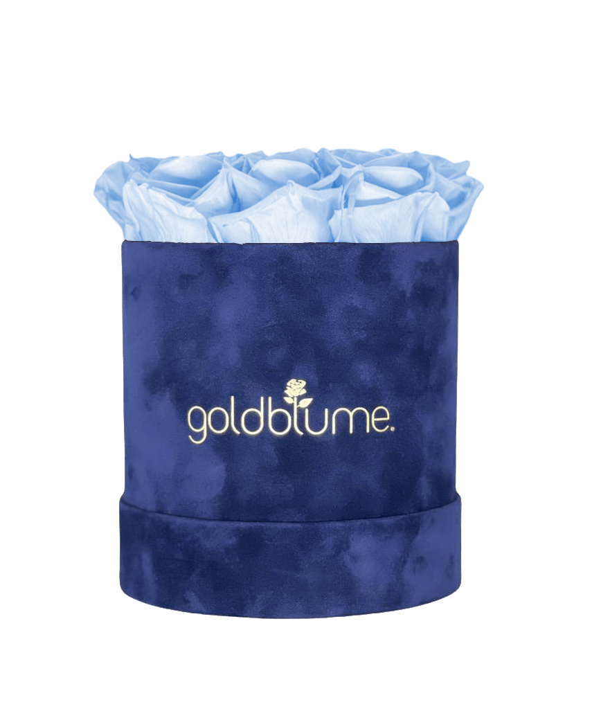 Velvet Royal Collection - Goldblume