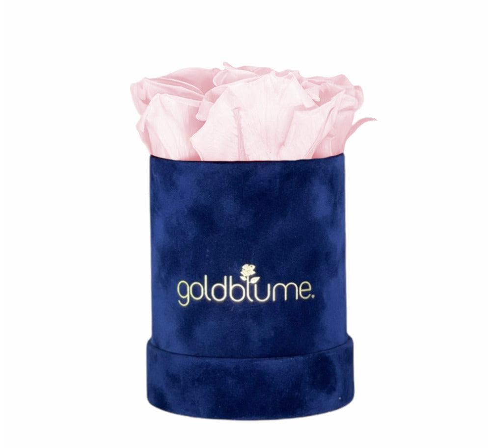 Velvet Royal Collection - Goldblume