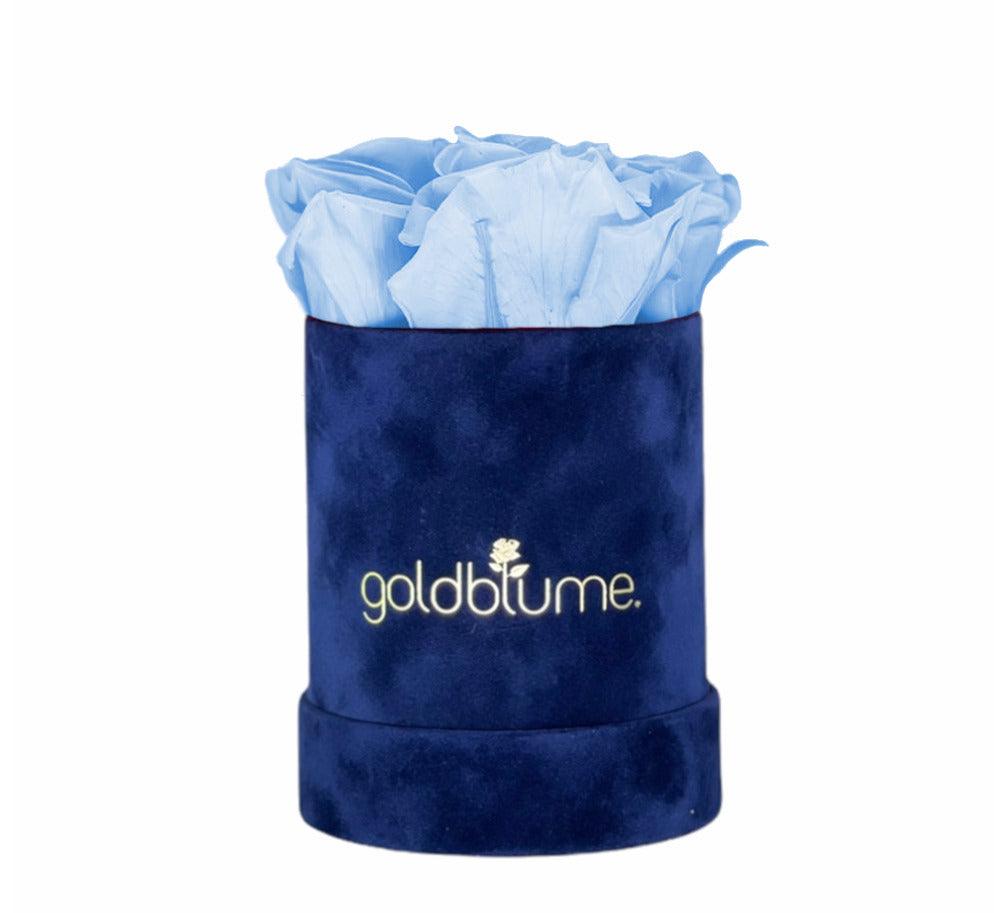 Velvet Royal Collection - Goldblume