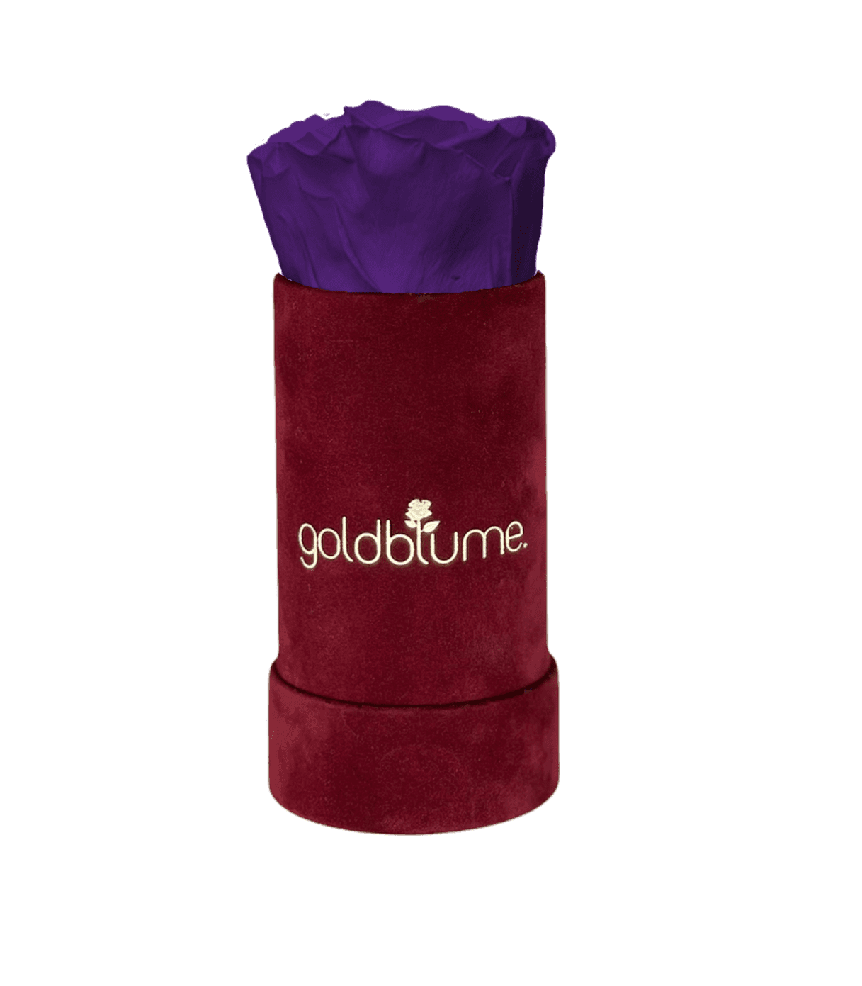 Velvet Bordeaux Collection - Goldblume