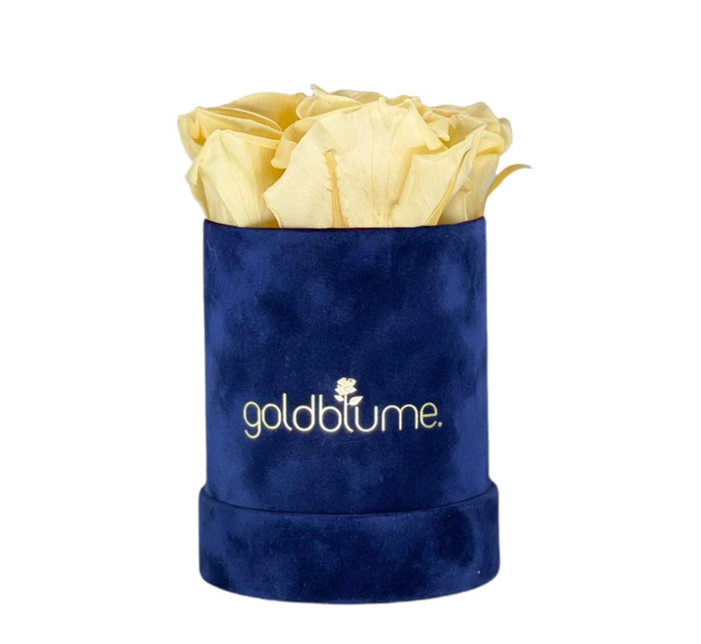 Velvet Royal Collection - Goldblume