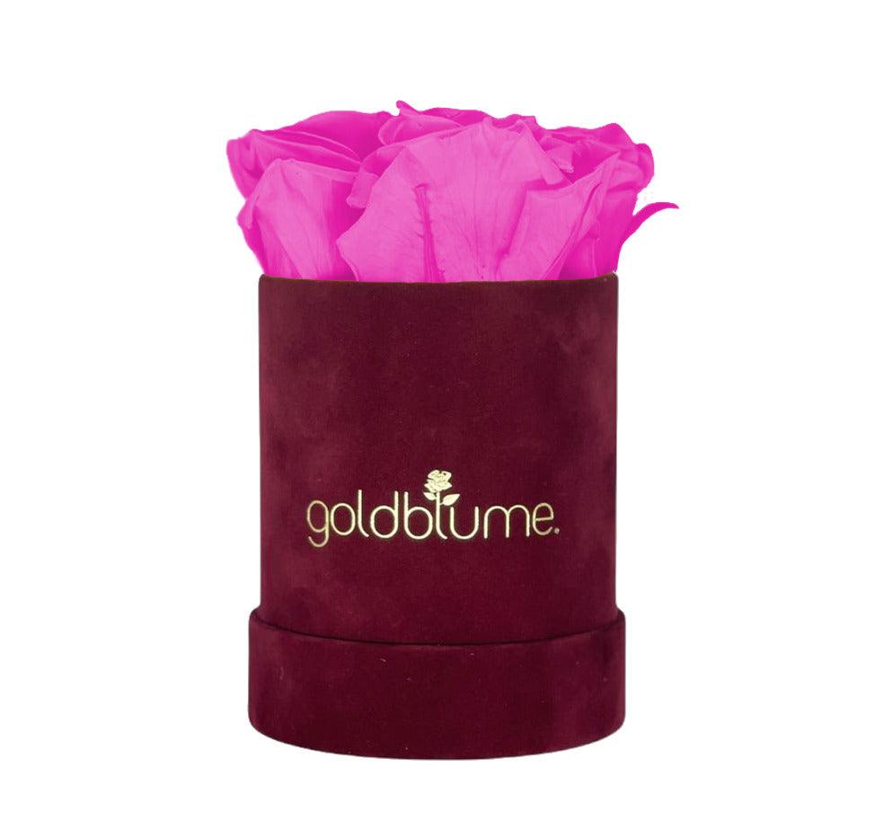 Velvet Bordeaux Collection - Goldblume