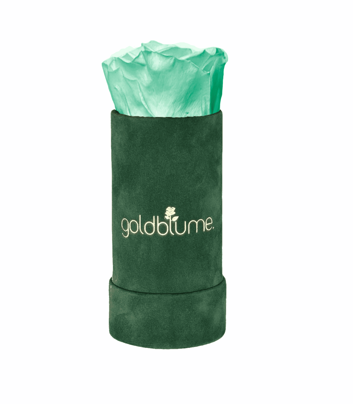 Velvet Green Collection - Goldblume