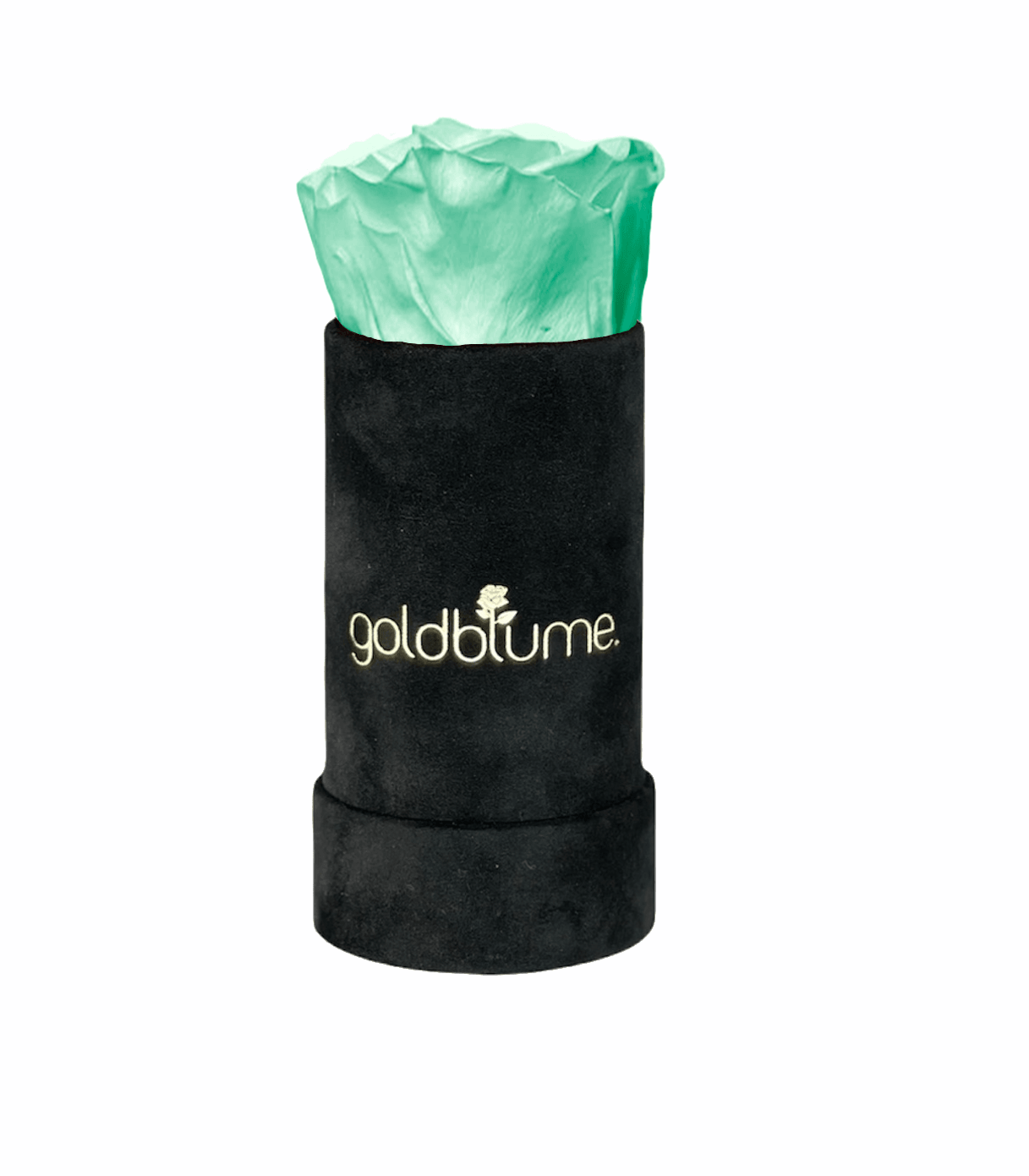 Velvet Black Collection - Goldblume