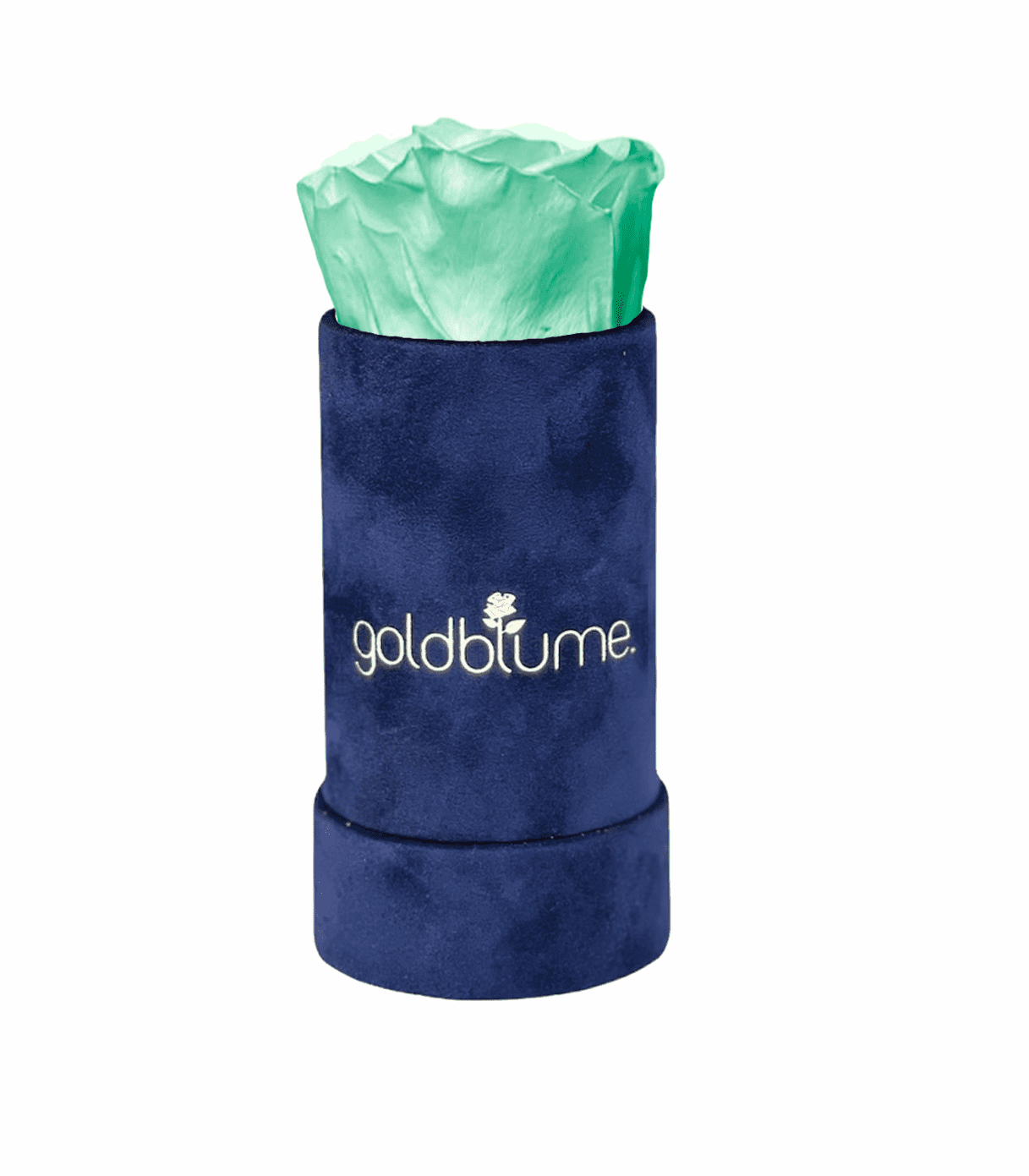 Velvet Royal Collection - Goldblume