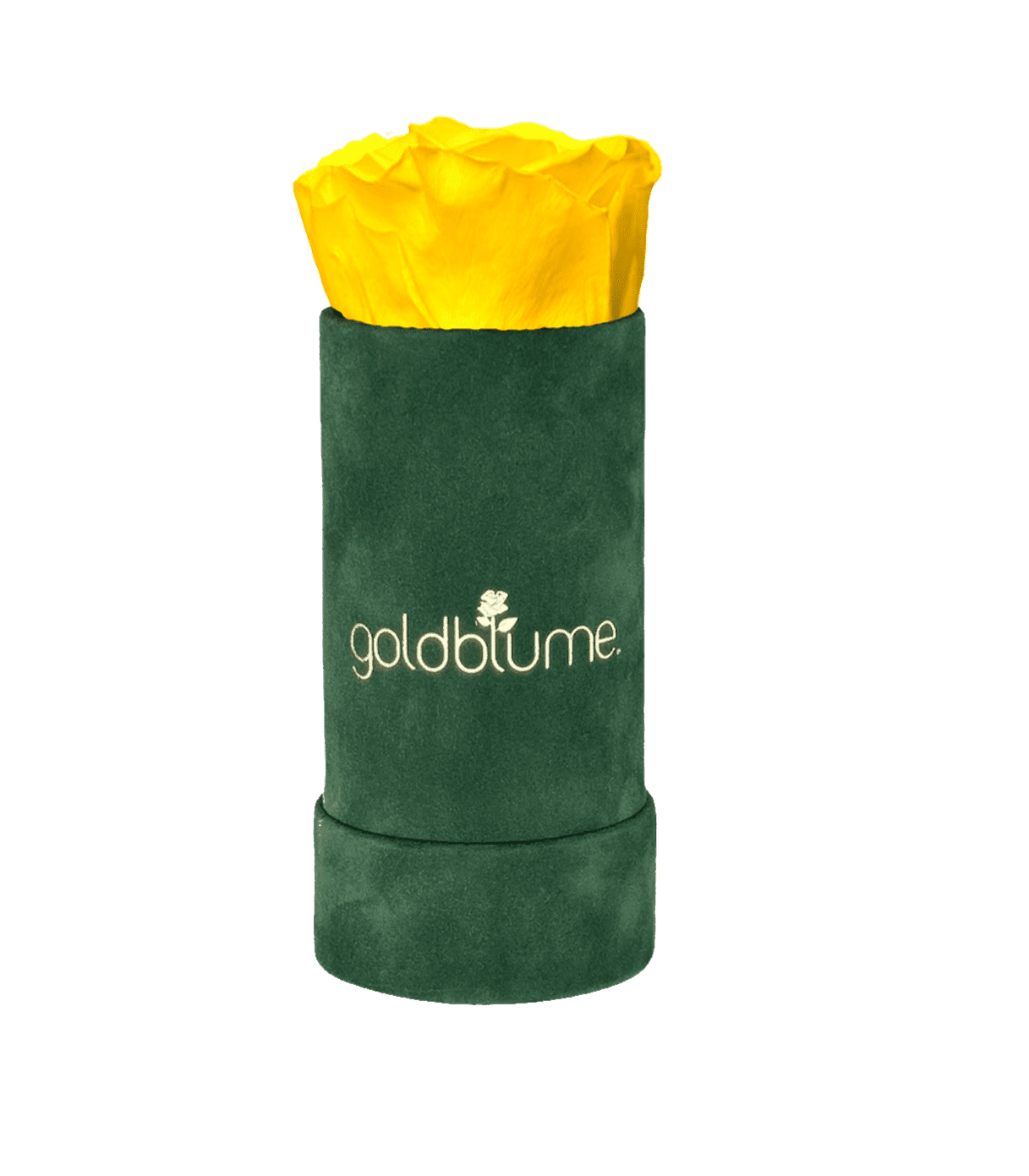 Velvet Green Collection - Goldblume