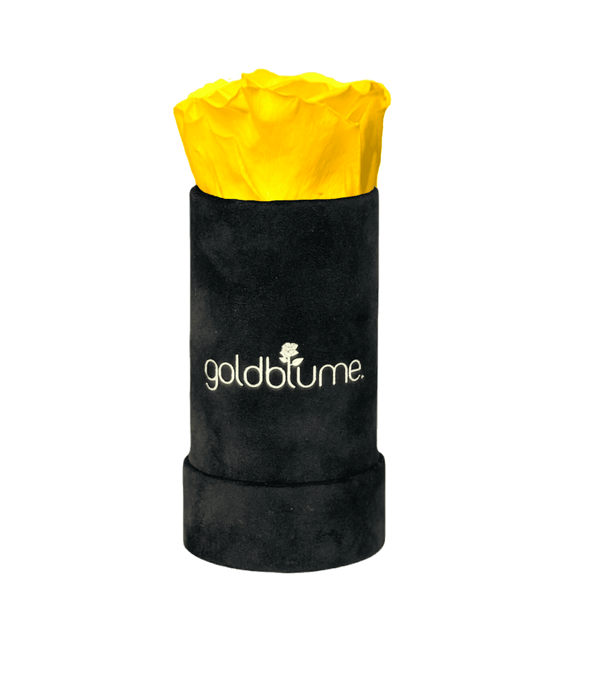 Velvet Black Collection - Goldblume