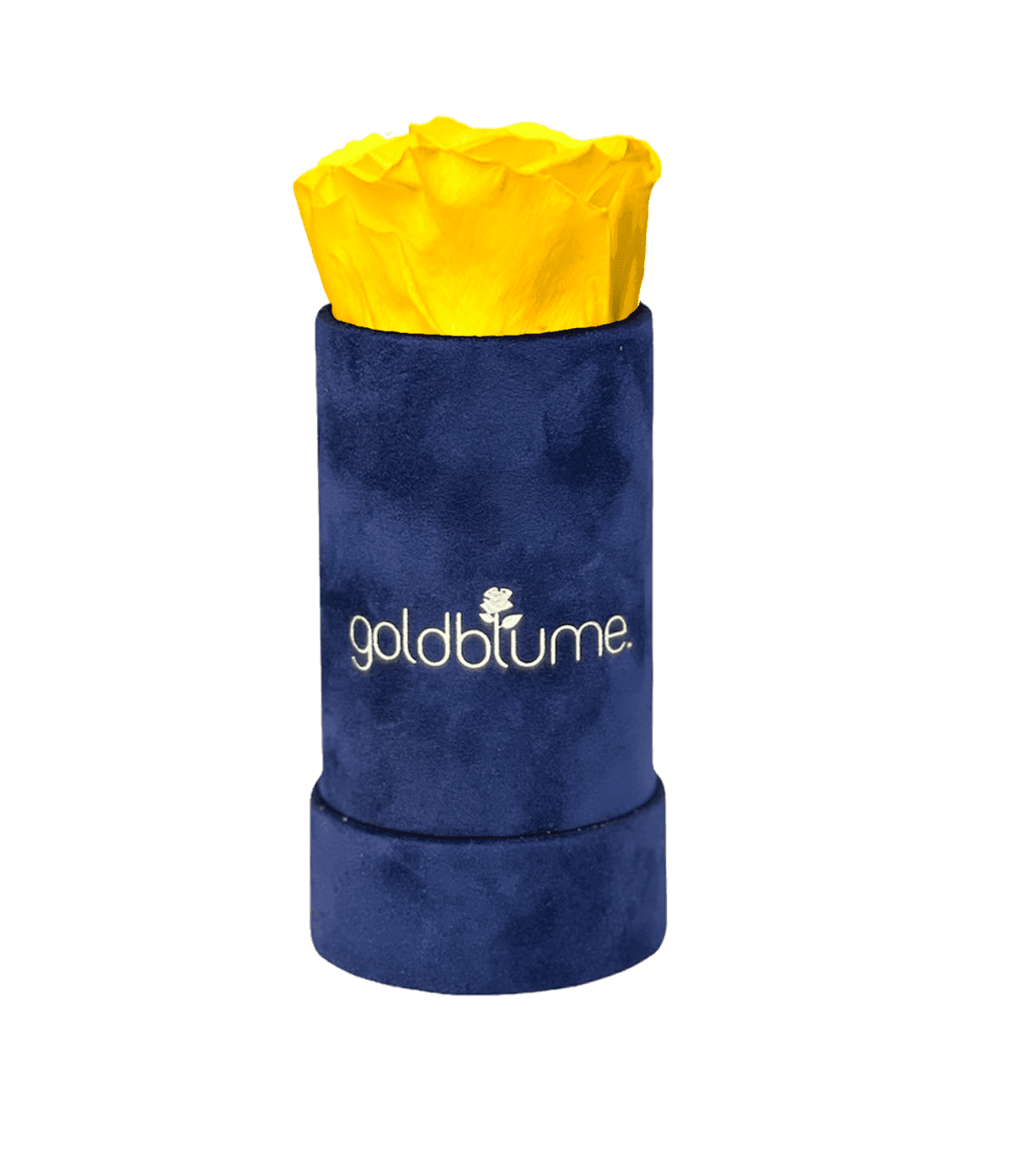 Velvet Royal Collection - Goldblume