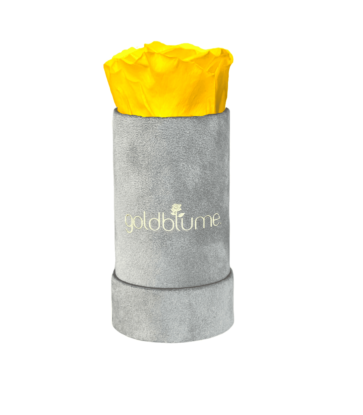 Velvet Grey Collection - Goldblume