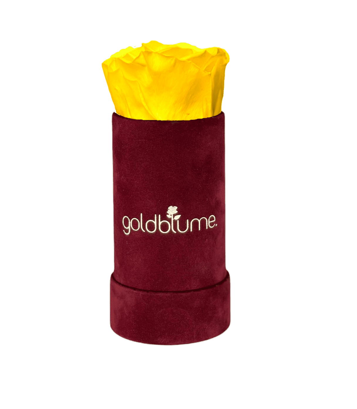 Velvet Bordeaux Collection - Goldblume