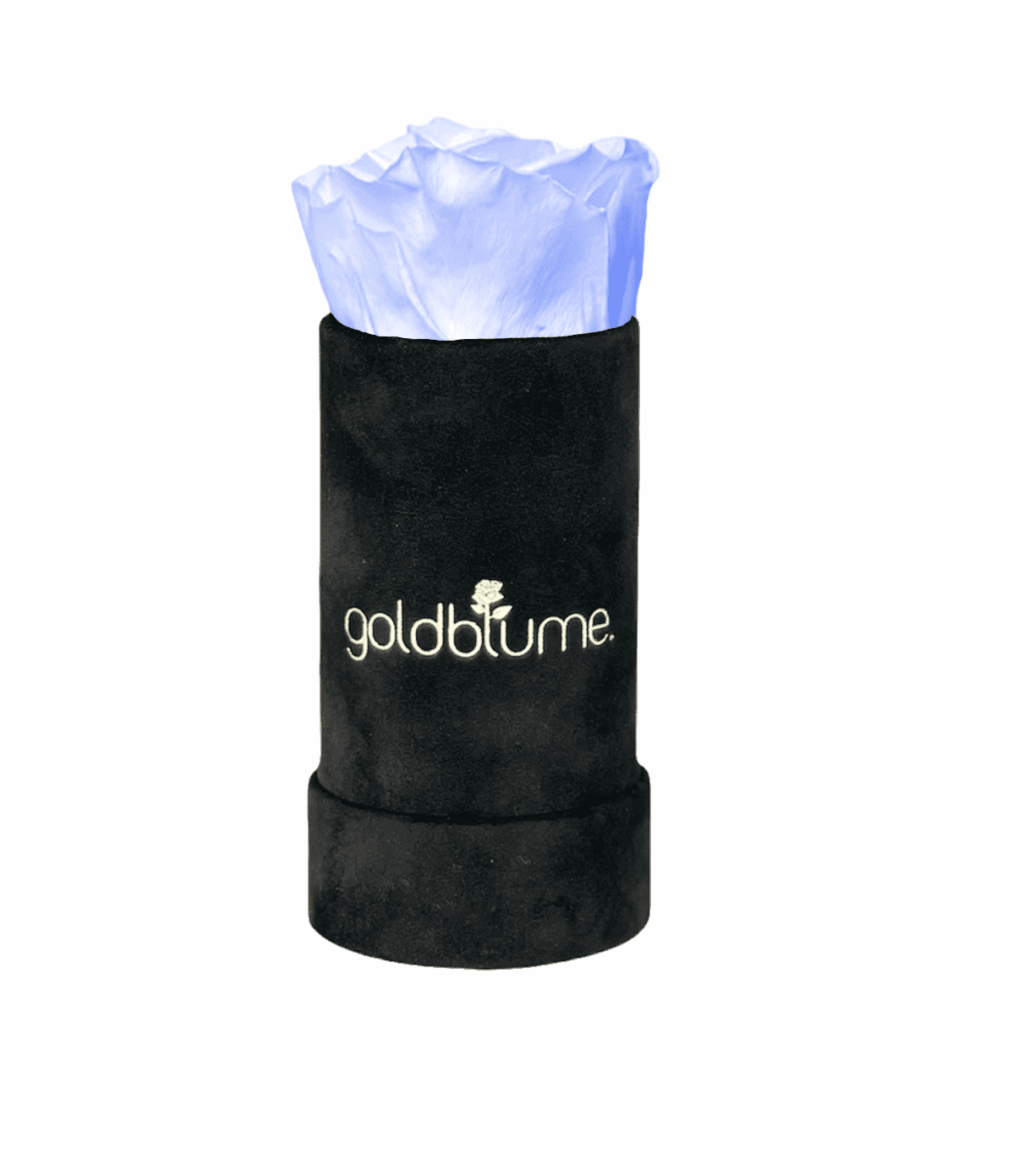 Velvet Black Collection - Goldblume