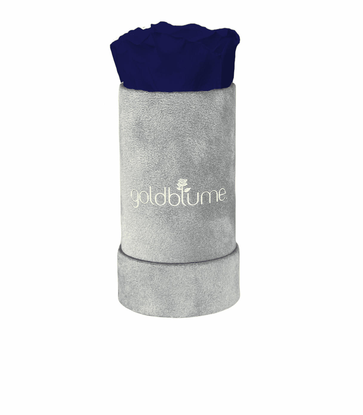 Velvet Grey Collection - Goldblume