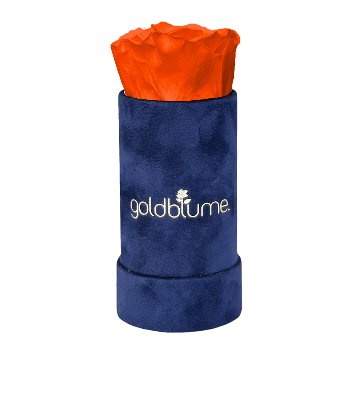 Velvet Royal Collection - Goldblume