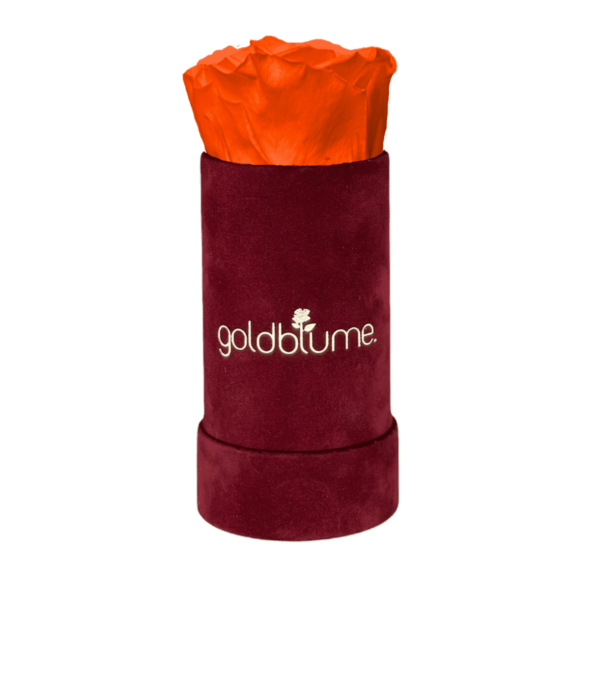 Velvet Bordeaux Collection - Goldblume