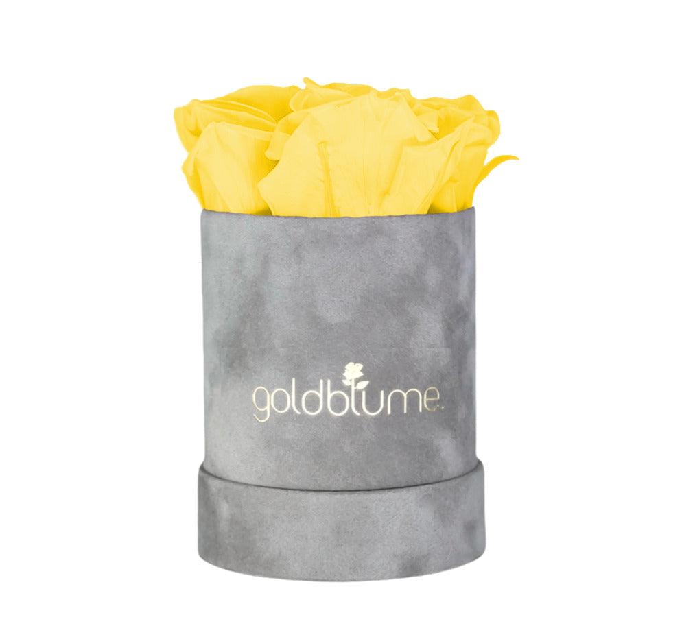 Velvet Grey Collection - Goldblume