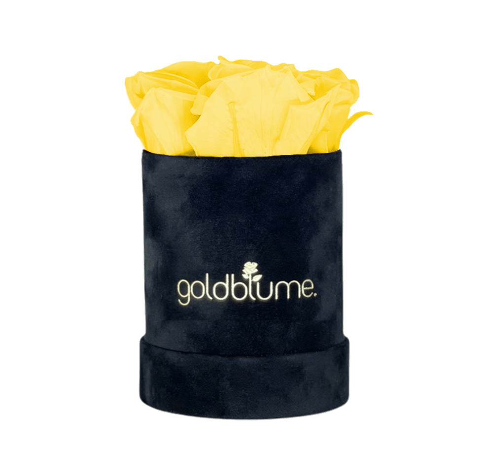 Velvet Black Collection - Goldblume
