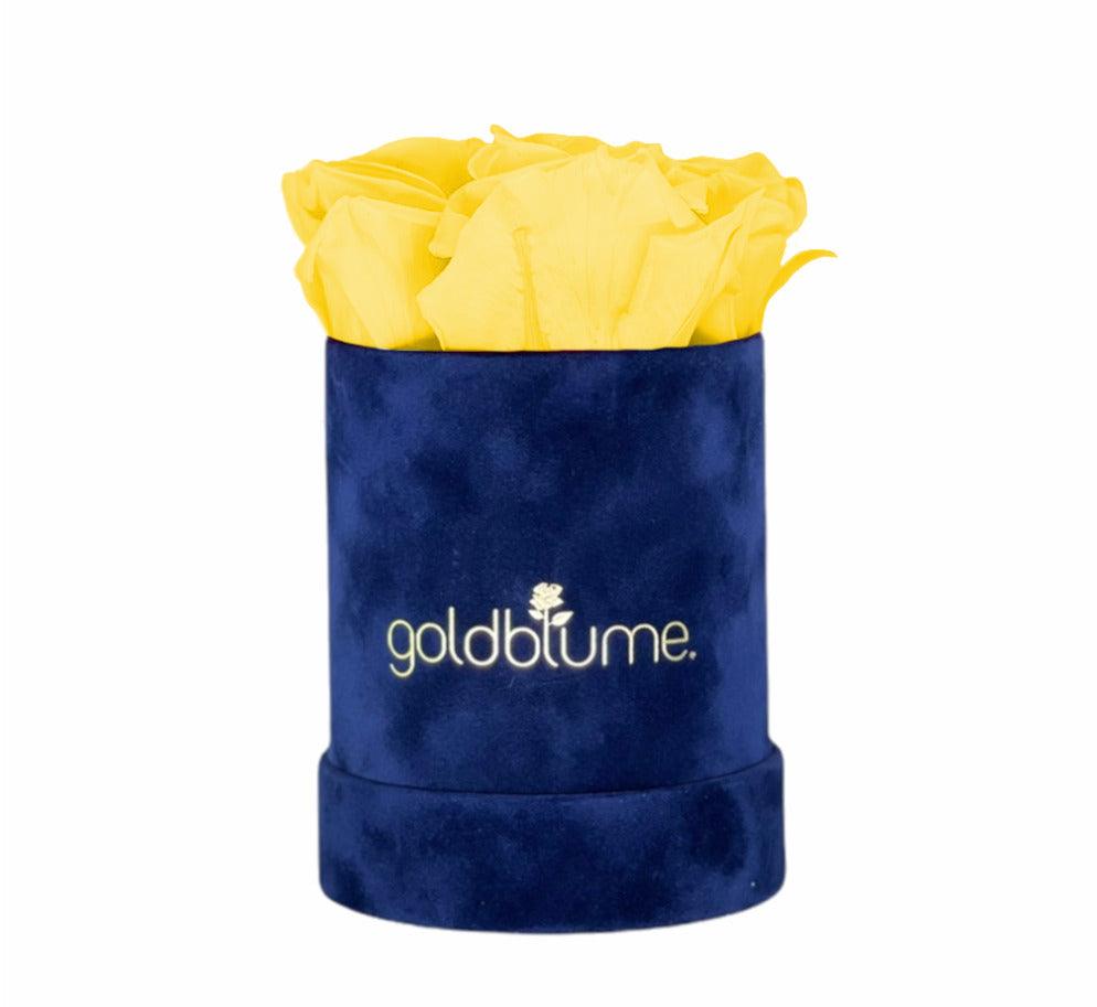 Velvet Royal Collection - Goldblume