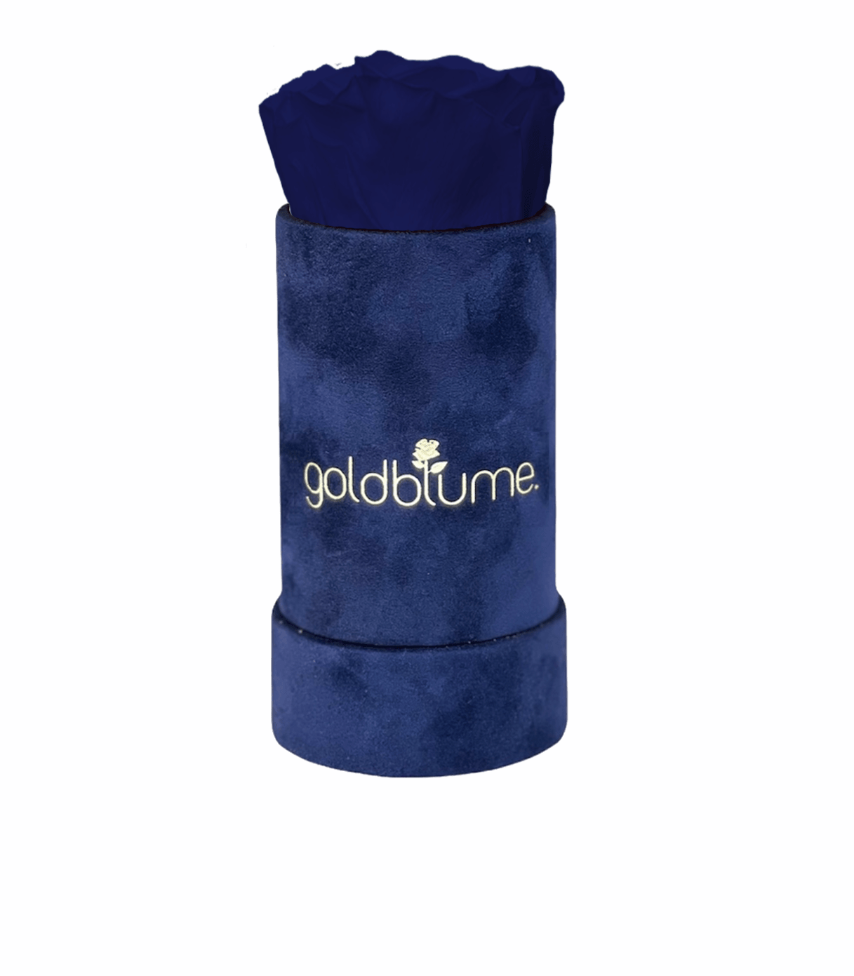 Velvet Royal Collection - Goldblume