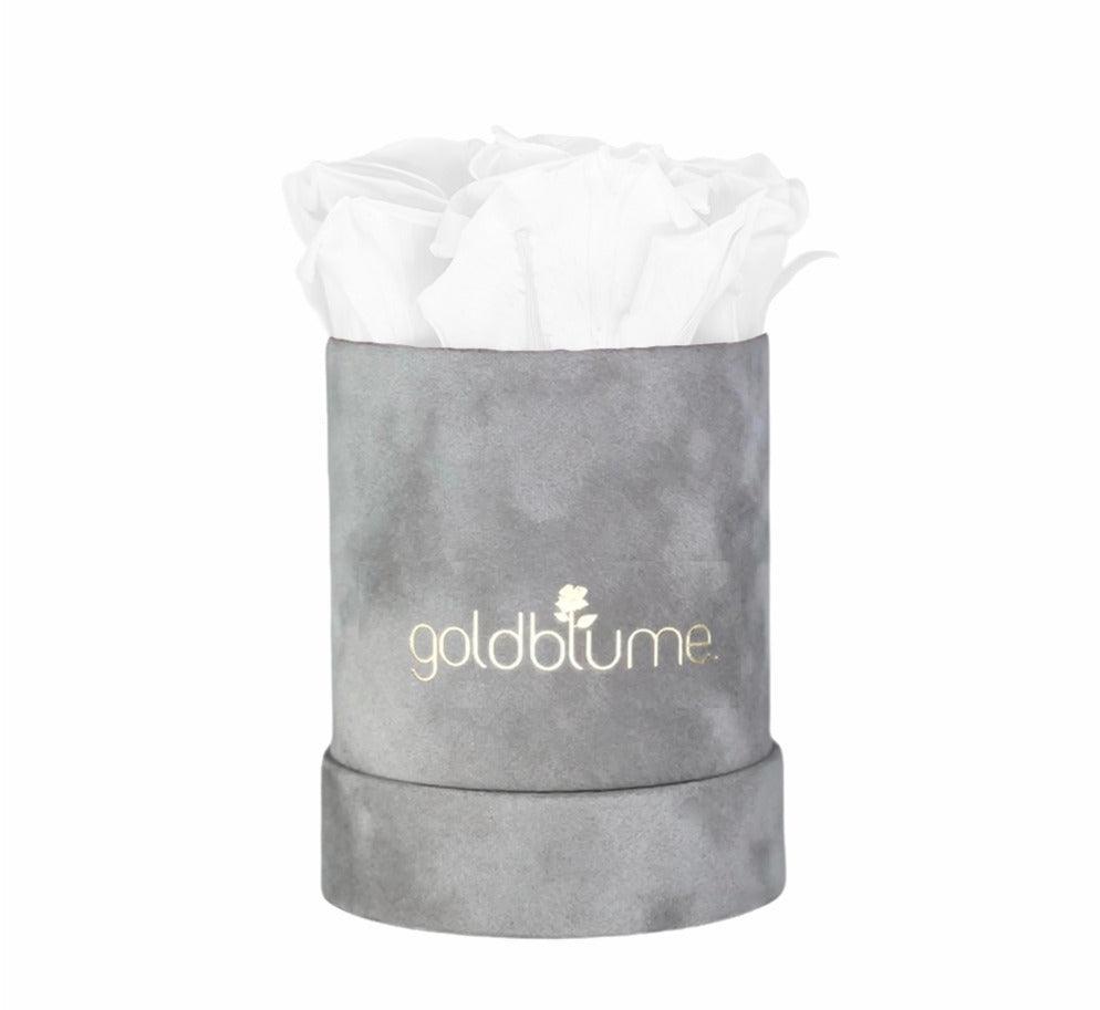 Velvet Grey Collection - Goldblume