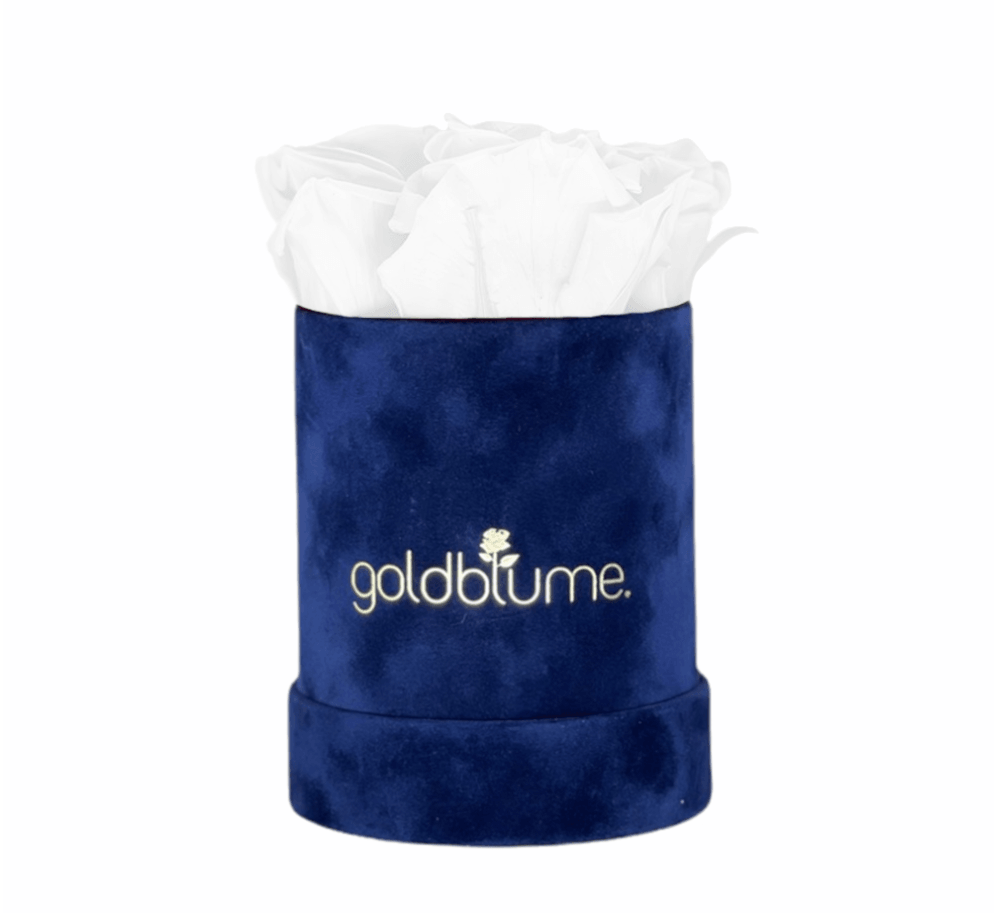Velvet Royal Collection - Goldblume