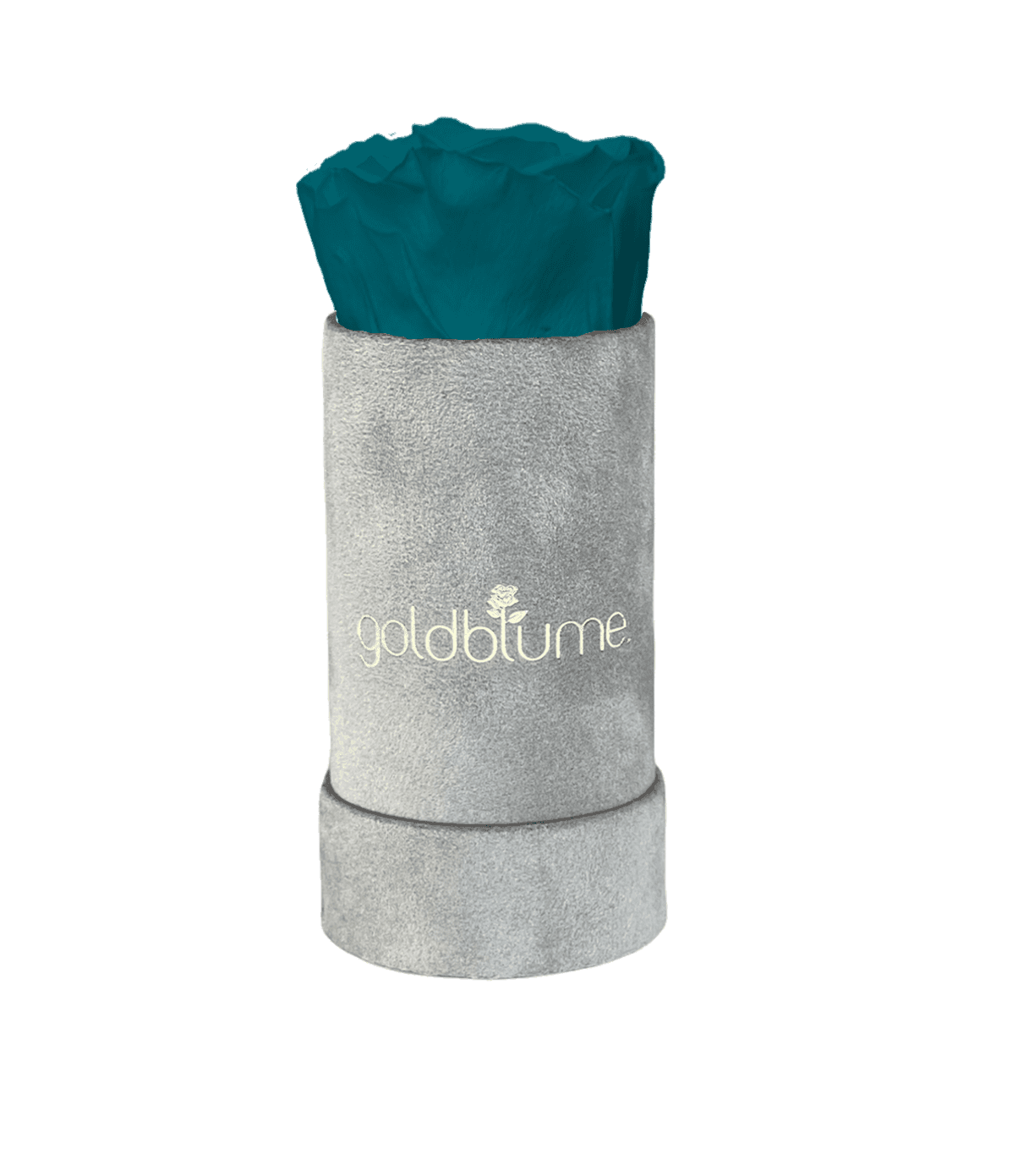 Velvet Grey Collection - Goldblume
