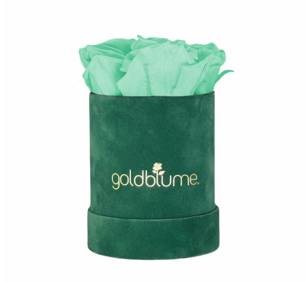 Velvet Green Collection - Goldblume