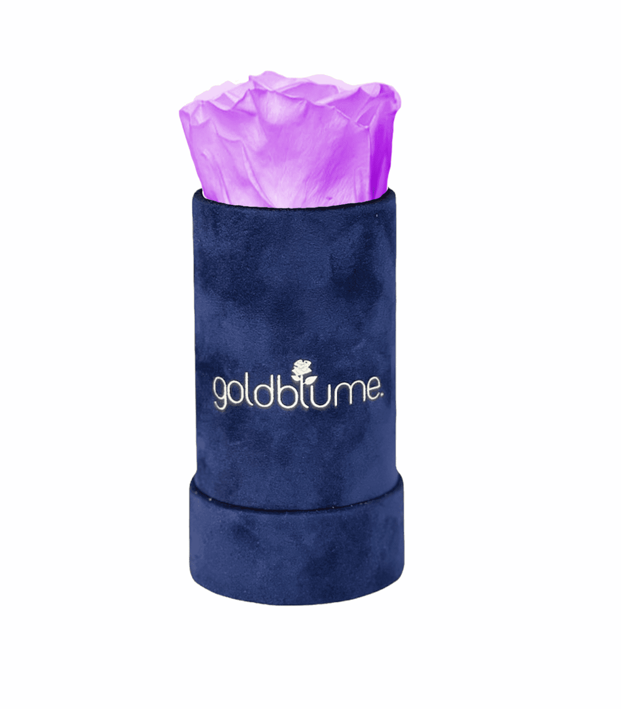 Velvet Royal Collection - Goldblume