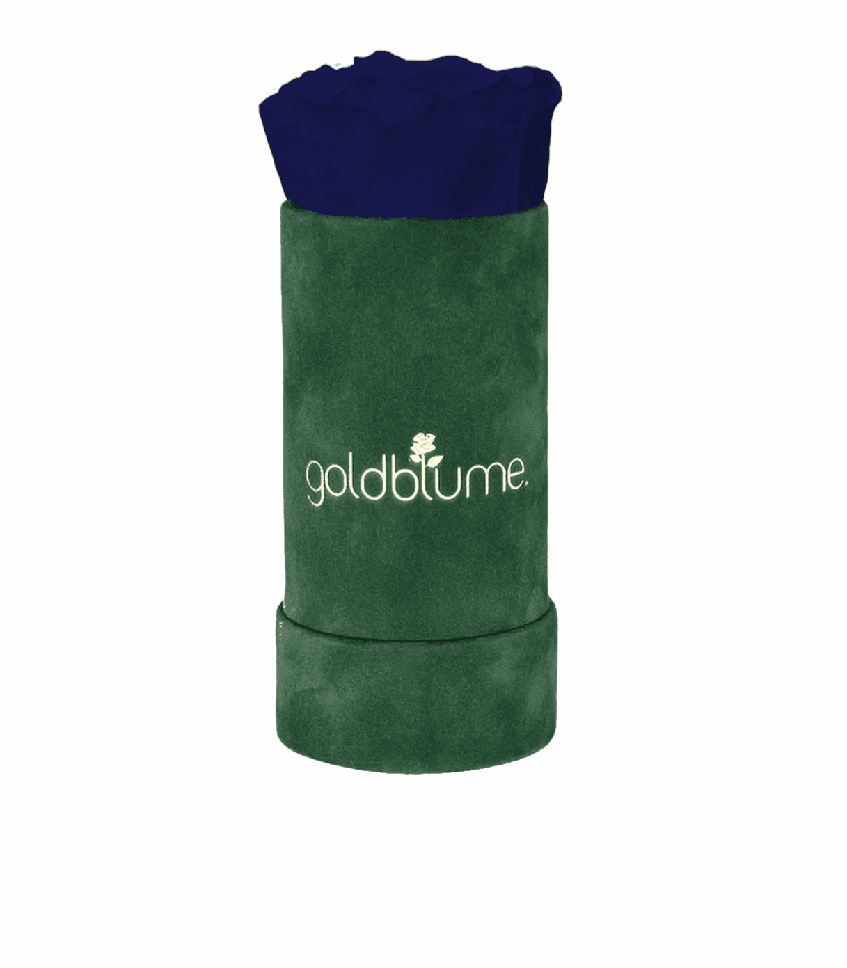 Velvet Green Collection - Goldblume