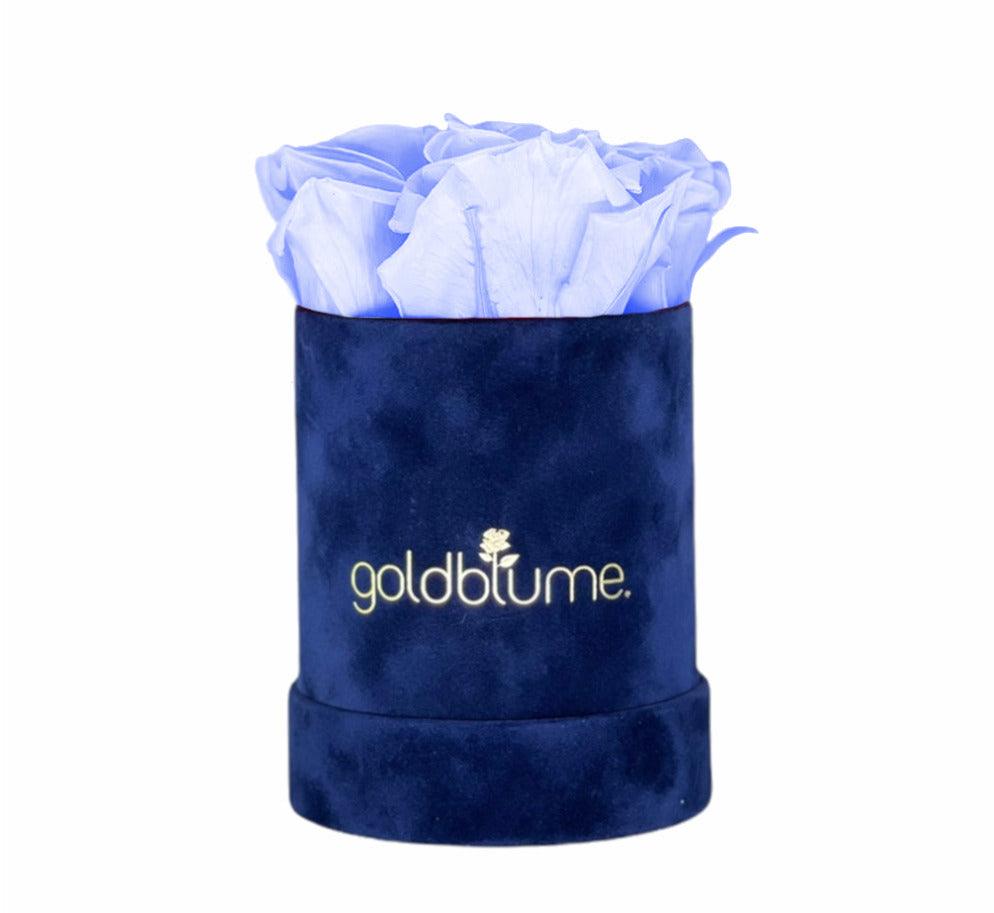 Velvet Royal Collection - Goldblume