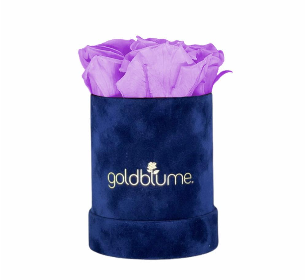 Velvet Royal Collection - Goldblume