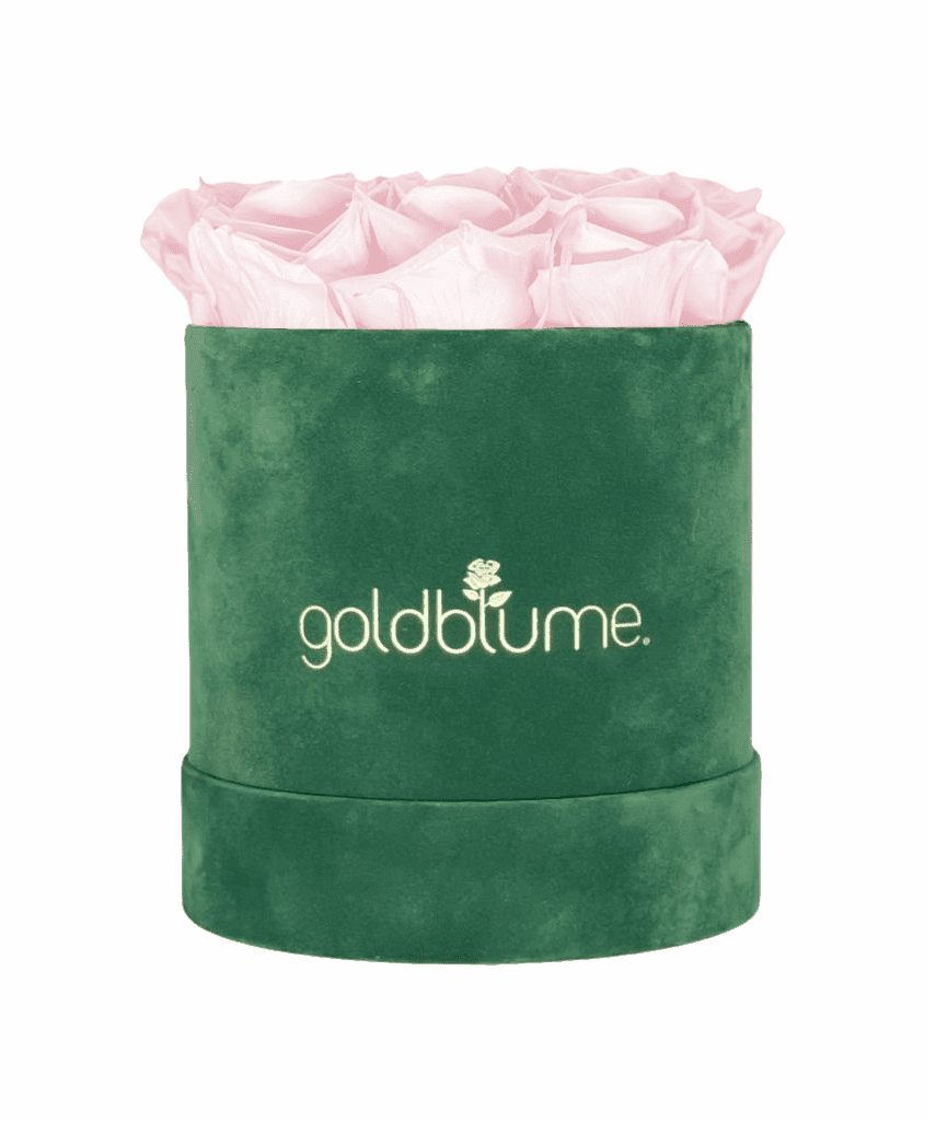 Velvet Green Collection - Goldblume