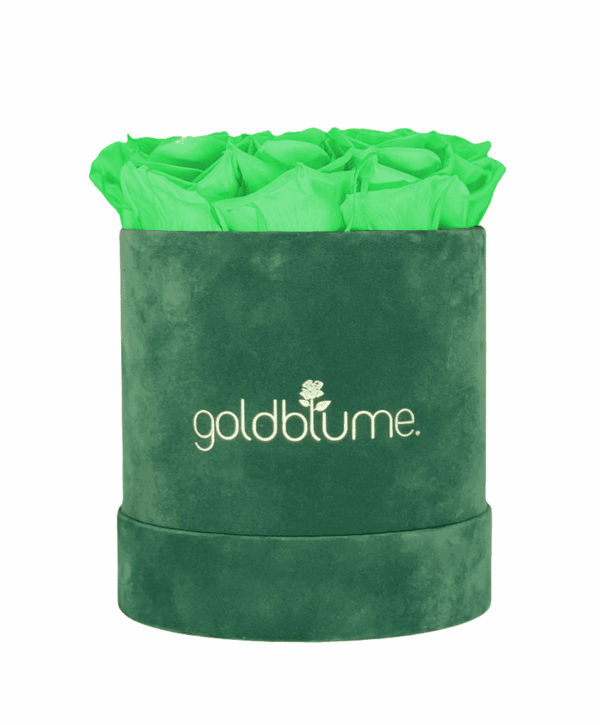 Velvet Green Collection - Goldblume