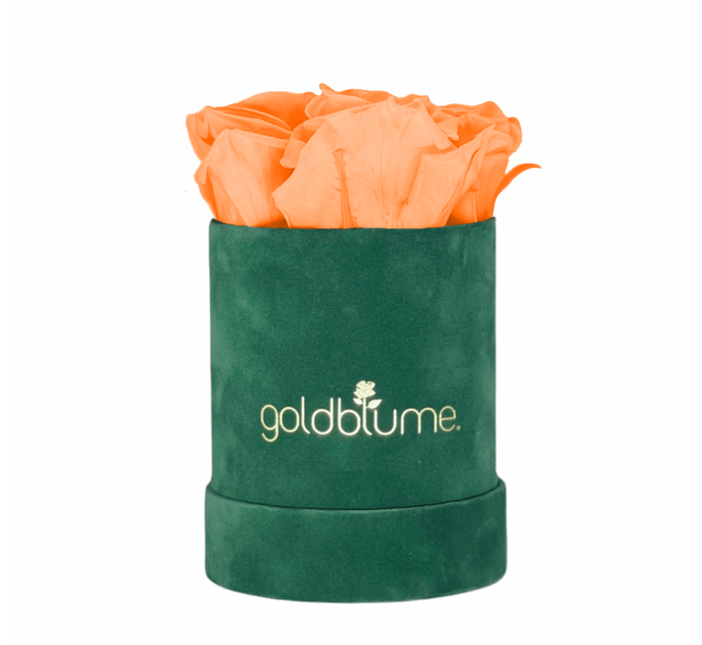Velvet Green Collection - Goldblume