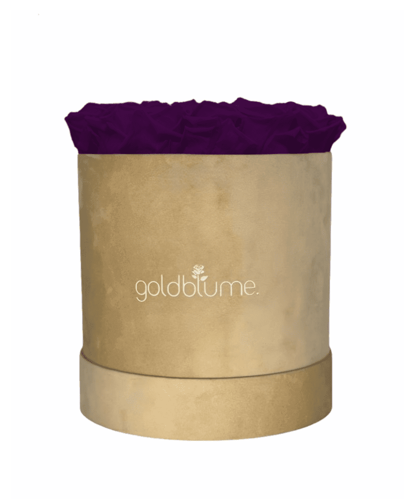 Velvet Beige Collection - Goldblume