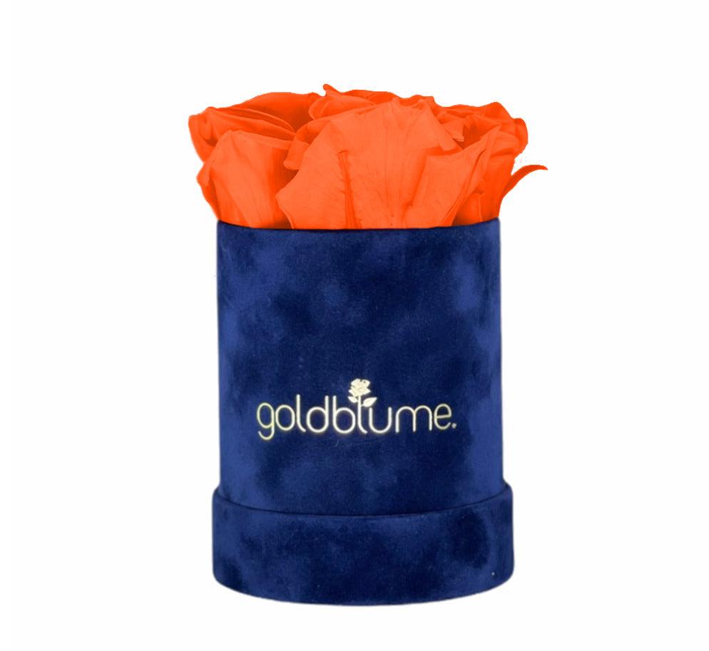 Velvet Royal Collection - Goldblume
