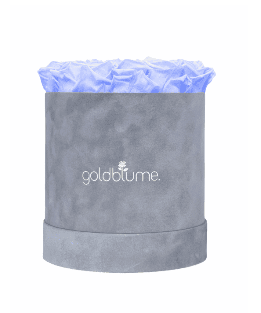 Velvet Grey Collection - Goldblume
