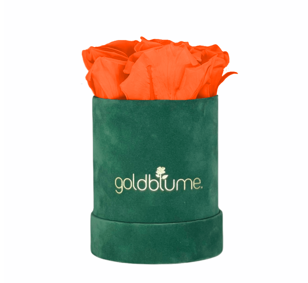 Velvet Green Collection - Goldblume