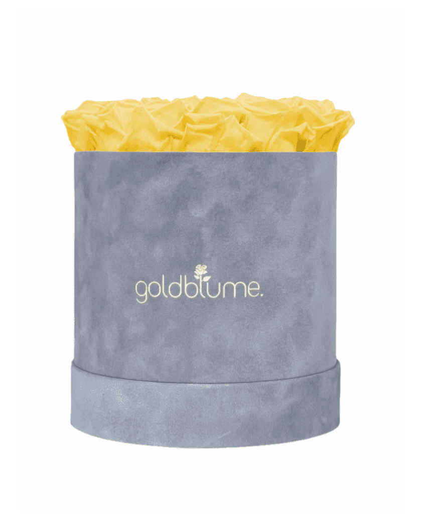 Velvet Grey Collection - Goldblume