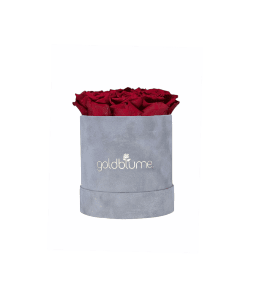 Velvet Grey Collection - Goldblume