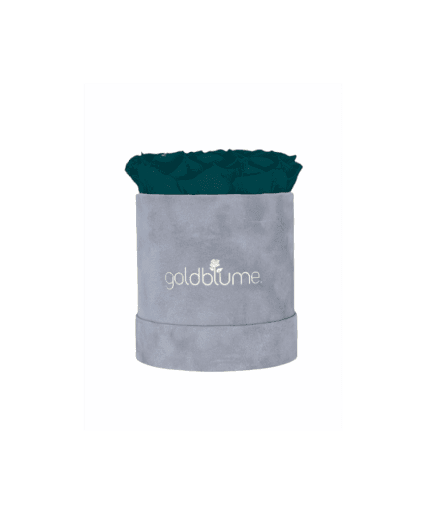 Velvet Grey Collection - Goldblume