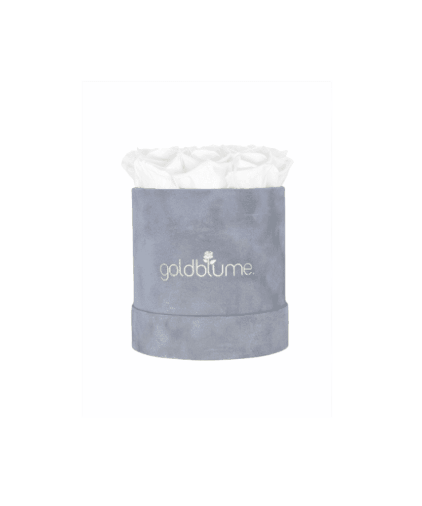 Velvet Grey Collection - Goldblume