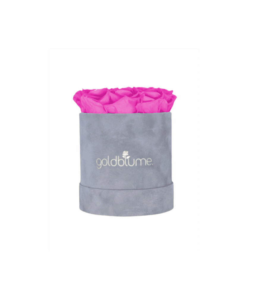 Velvet Grey Collection - Goldblume