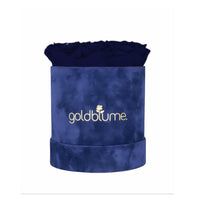 Velvet Royal Collection - Goldblume