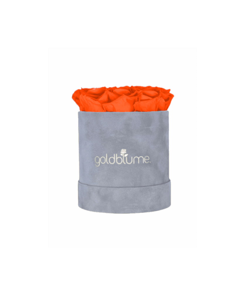 Velvet Grey Collection - Goldblume