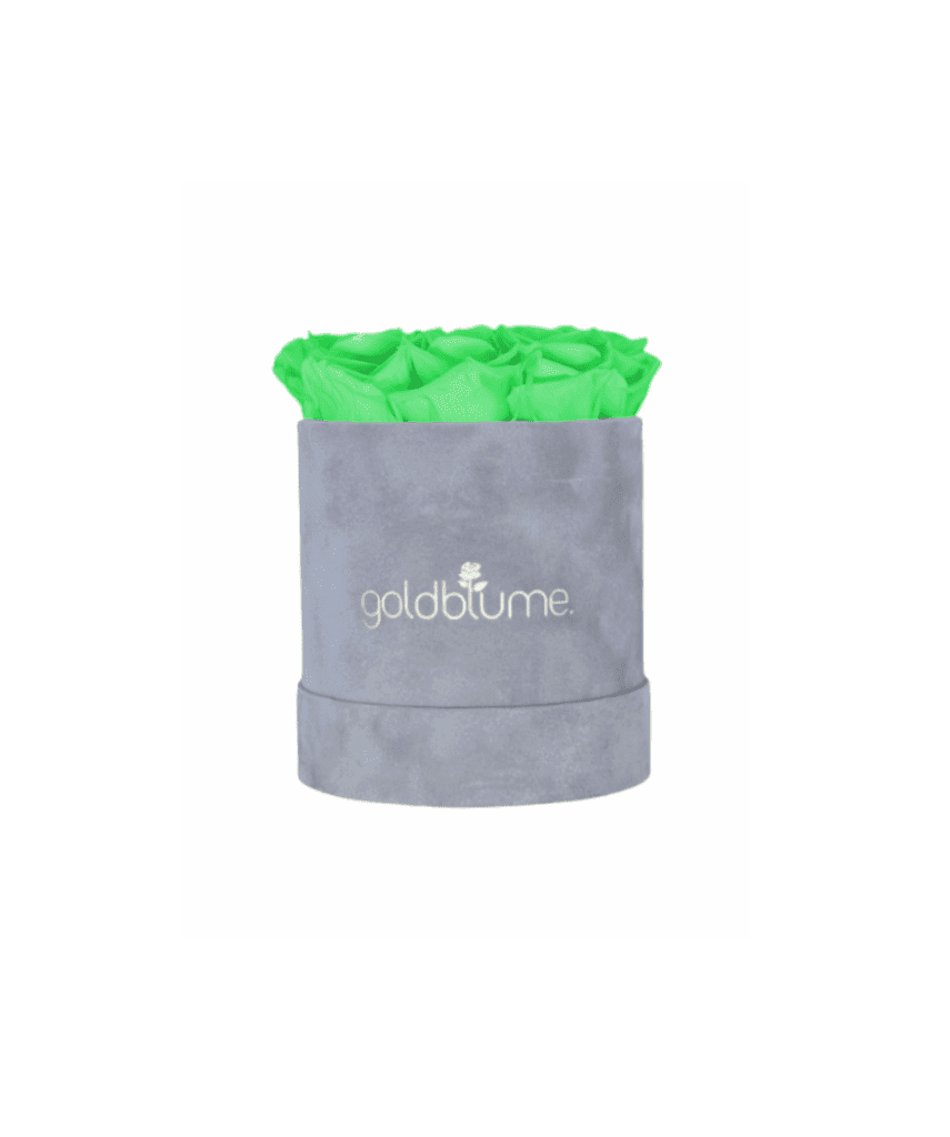 Velvet Grey Collection - Goldblume